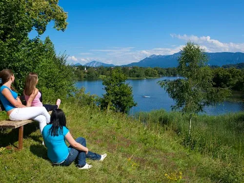 Camping Insel Buchau 7