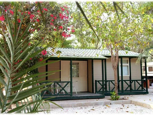 Camping Internacional Las Palmeras 6