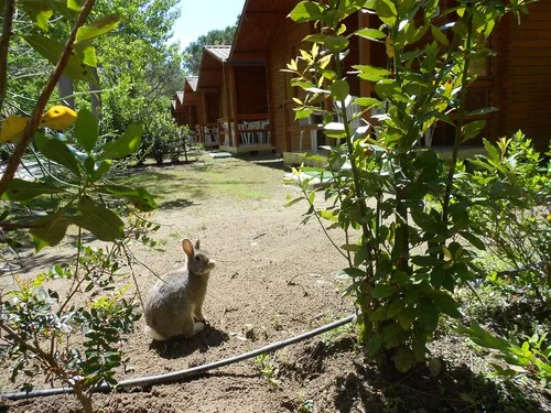 Club del Sole Viareggio Family Collection 5