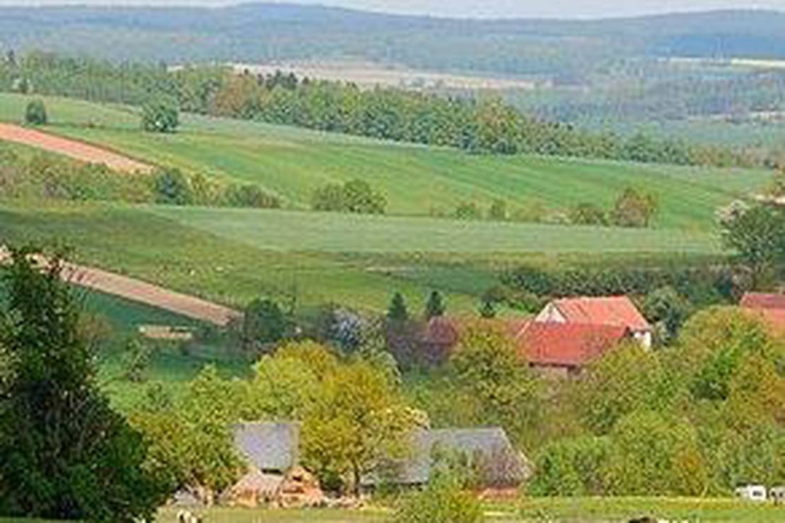 Camping Jaskółka 3