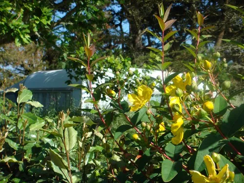 Camping Karreg Skividen 5