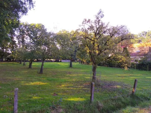 Camping Klarenbeek 5