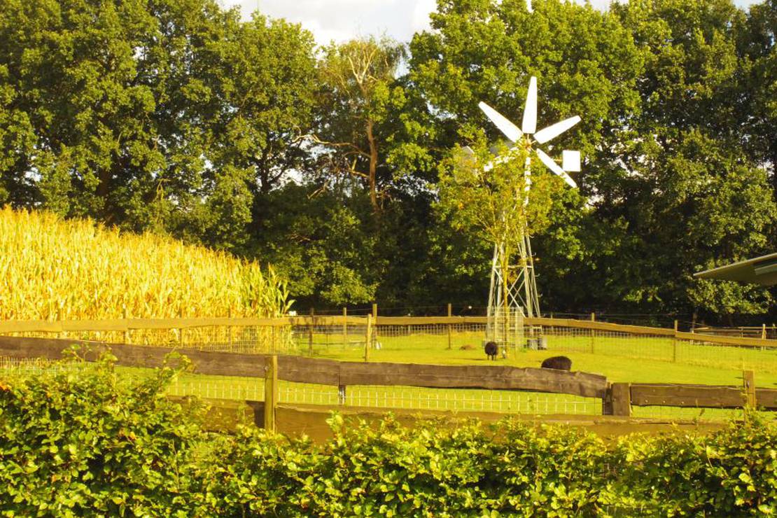 Camping Klarenbeek 4