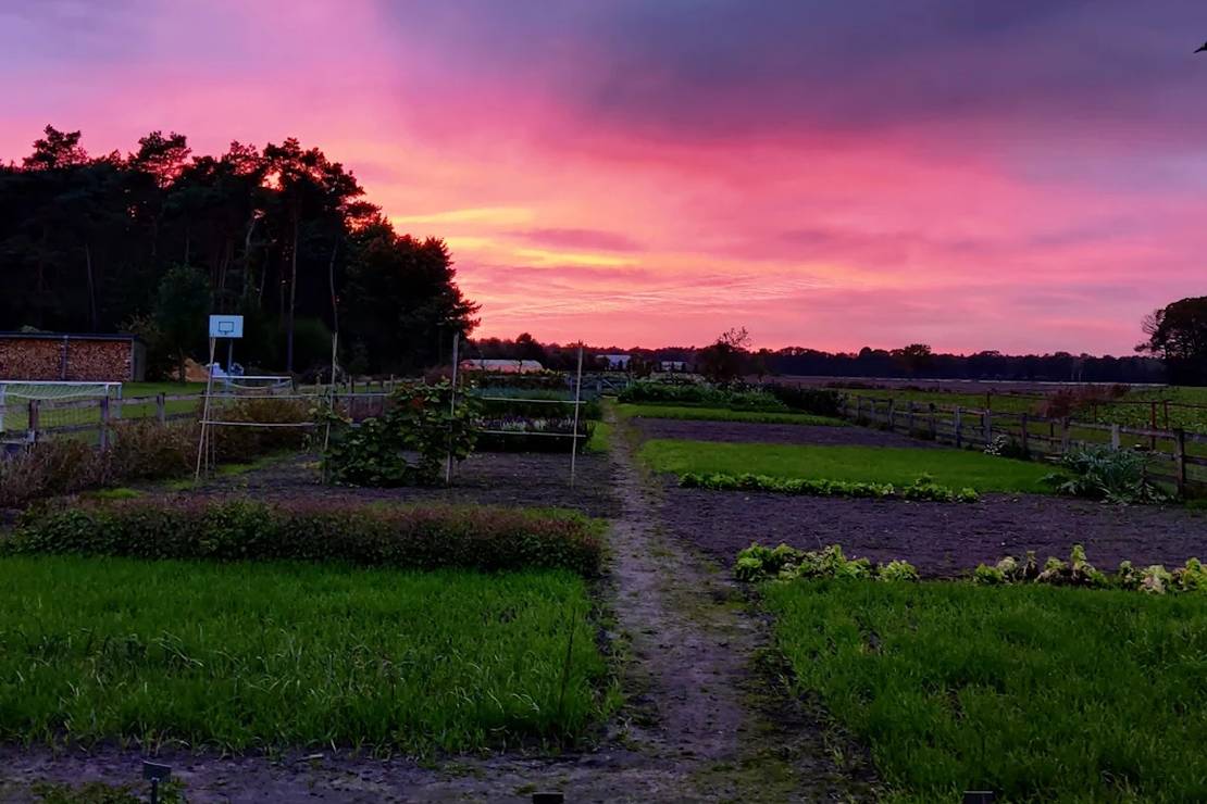 Camping Thuysgrond 4