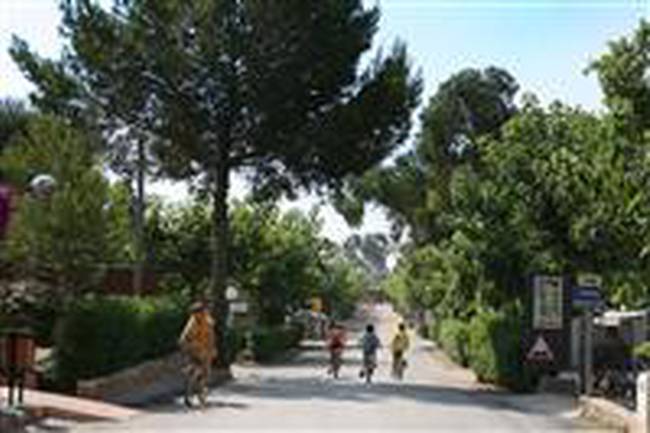 Camping l´Alba image 3