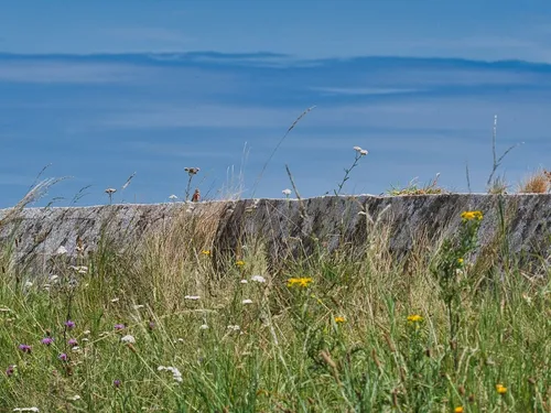 Camping La Baie Des Veys 3