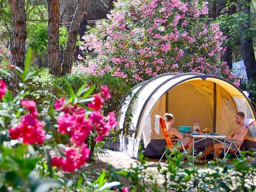 Camping La Baume - La Palmeraire 4