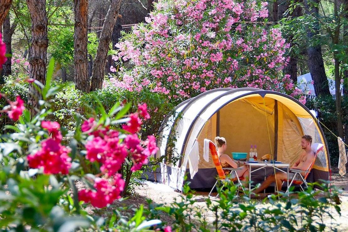 Camping La Baume - La Palmeraire 5