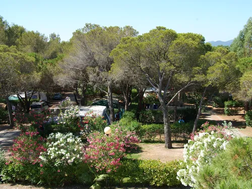 Camping La Baume - La Palmeraire 6