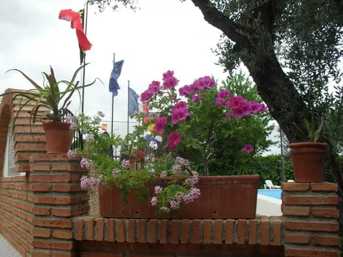 Camping la Campiña 5