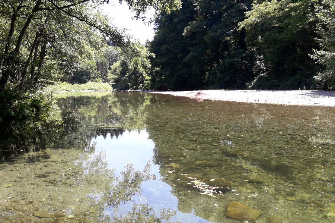 Camping La Chataigneraie 3