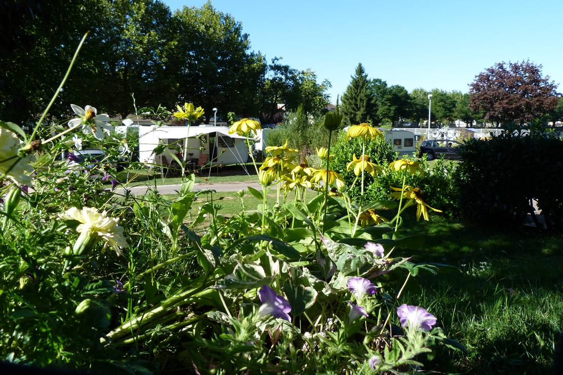 Camping La Chevrette 6