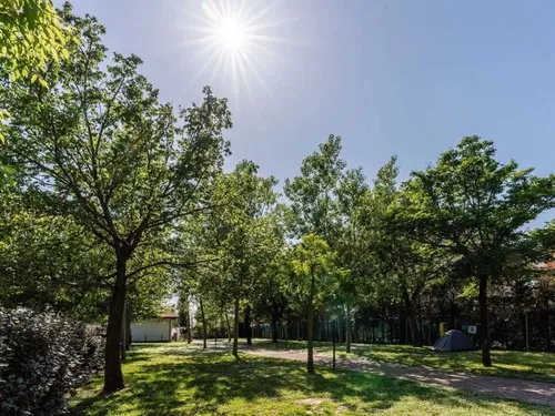 Camping La Conchiglia 3