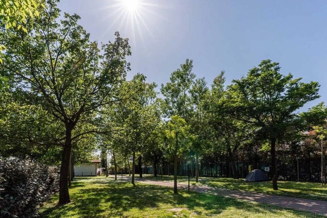 Camping La Conchiglia 4