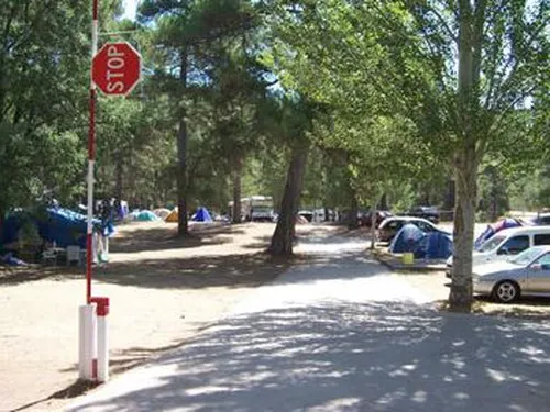 Camping la Dehesa De Cañamares 2