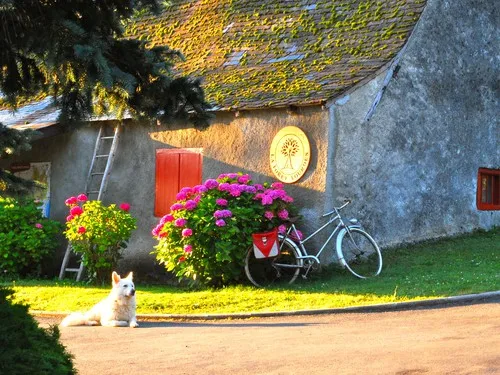 Camping La Foret Lourdes 5