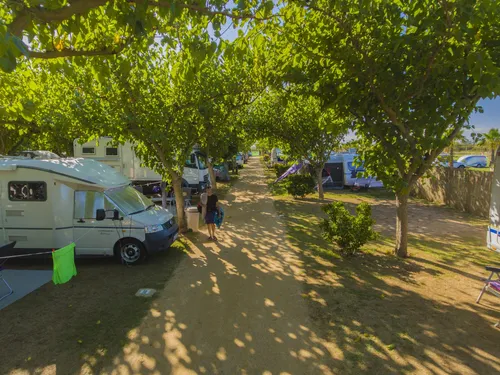 Camping La Gaviota 7