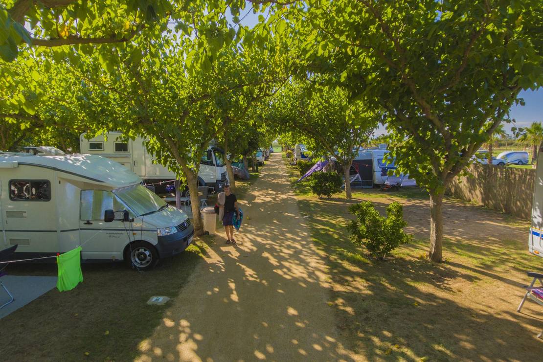 Camping La Gaviota 8