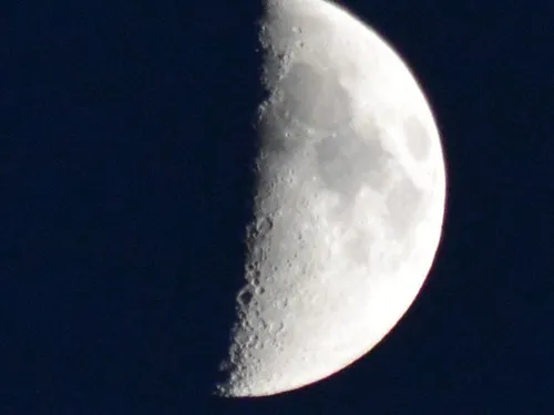 Camping la Jonquille 6