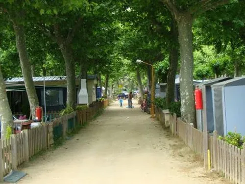 Camping la Maresma 2