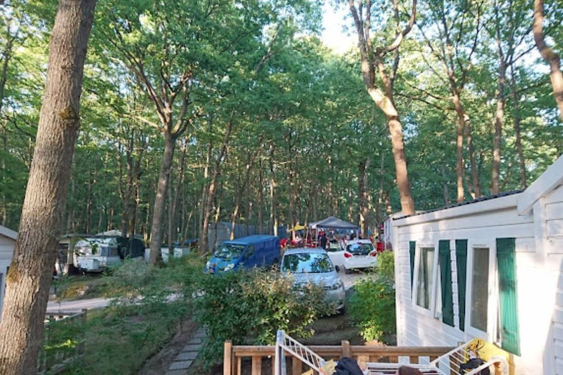 Camping La Musardiere 4