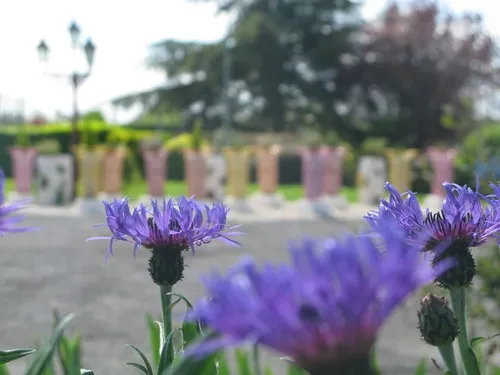 Camping La Paille-Haute 5