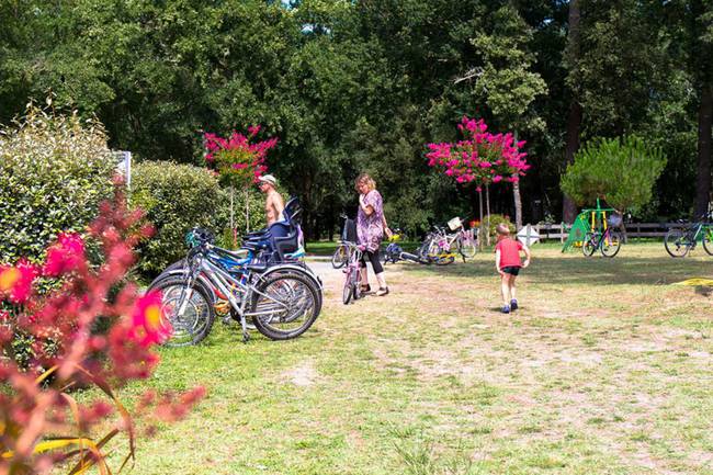 Camping La Palombiere image 1