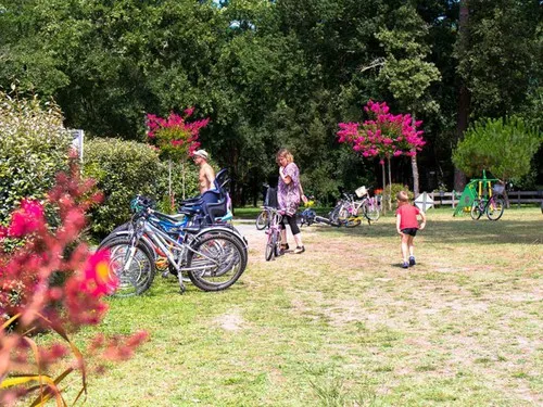 Camping La Palombiere 6