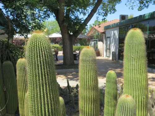 Camping la Pineda De Salou 6