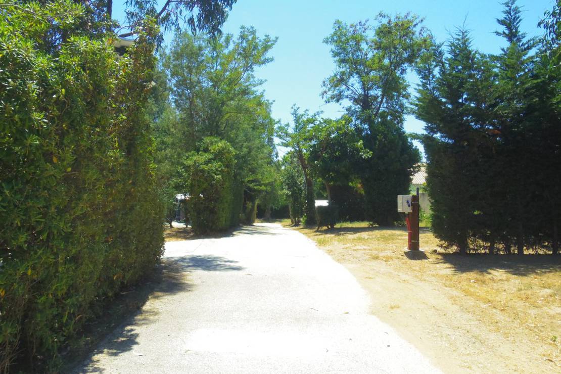 Camping La Pinede 4