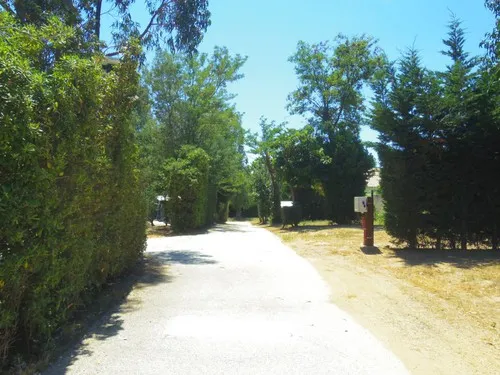 Camping La Pinede 3