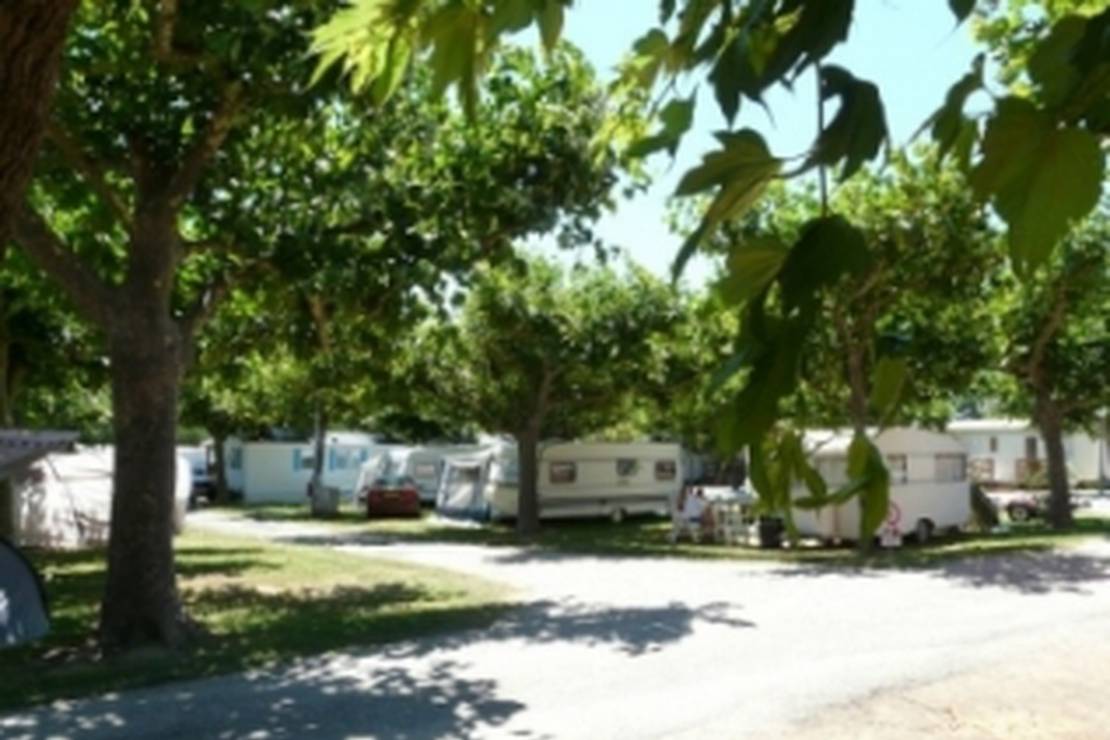 Camping La Pinede 5