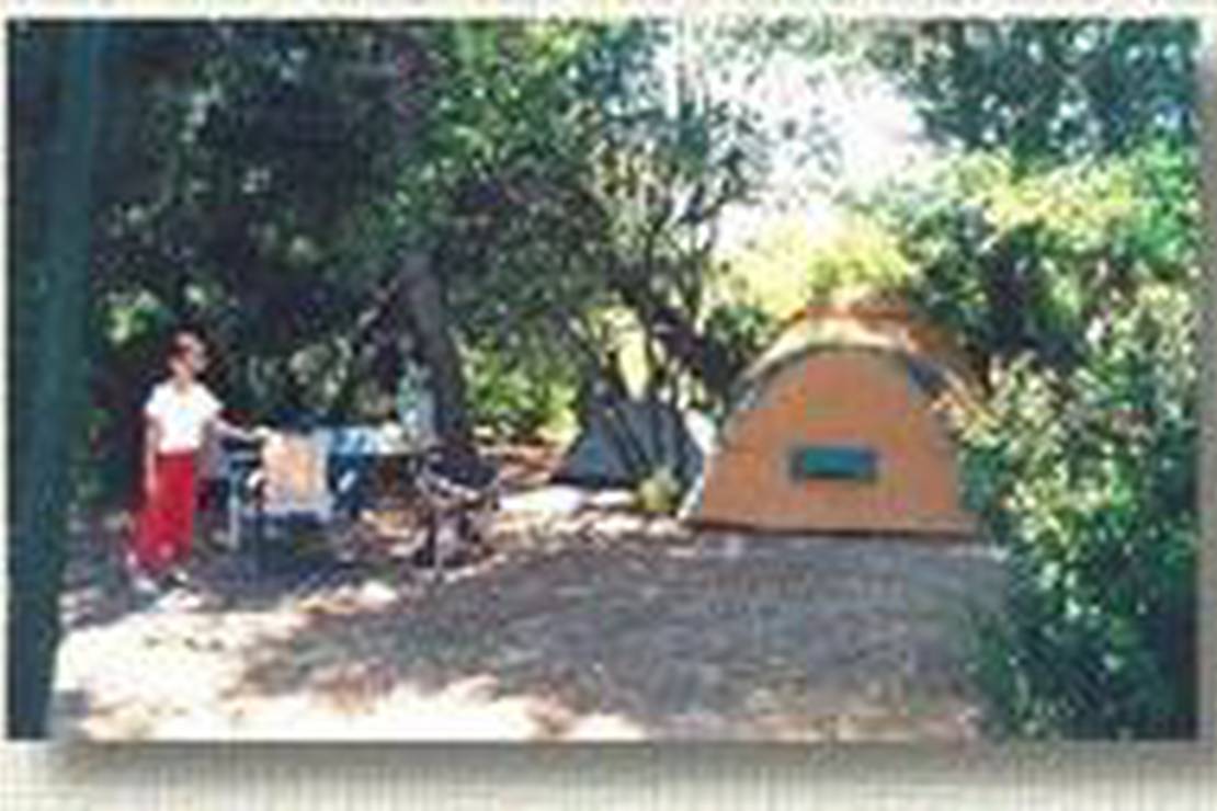 Camping La Pinède 5