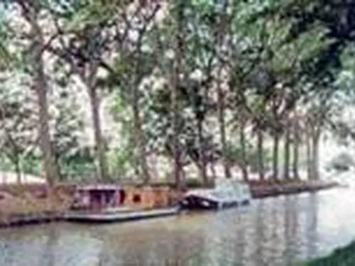 Camping La Pinède 6