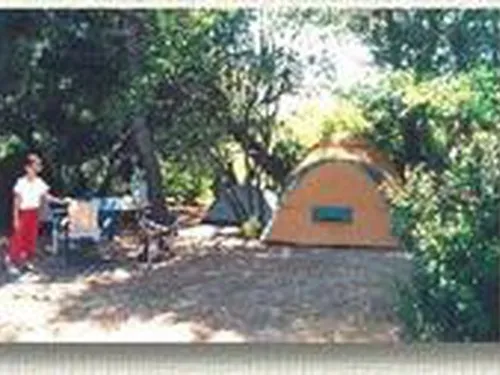 Camping La Pinède 4