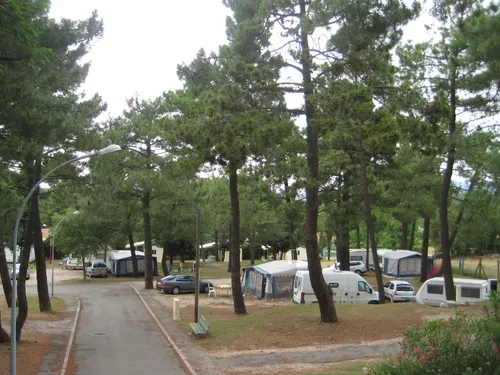 Camping  La Pinède en Provence 5