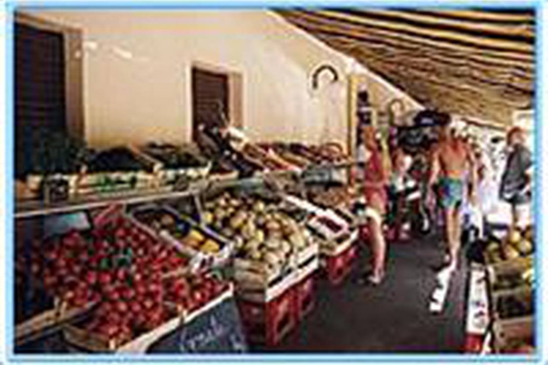 Campingplatz Camping La Plage et du Bord de Mer in LanguedocRoussillon camping.info