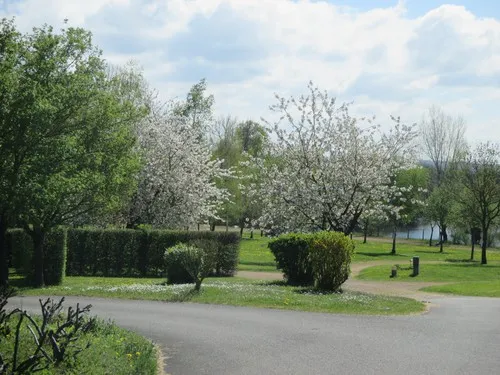 Camping La Route Bleue 6