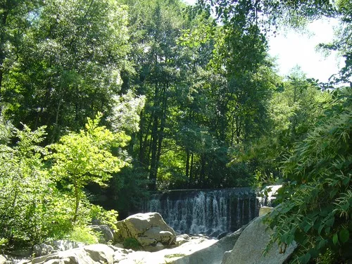 Camping la Salendrinque 3