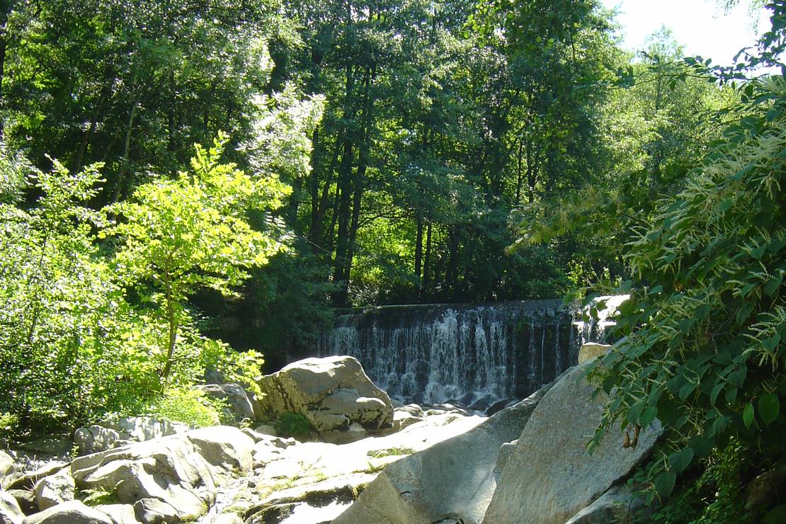 Camping la Salendrinque 4