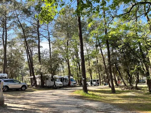 Camping La Simioune 8