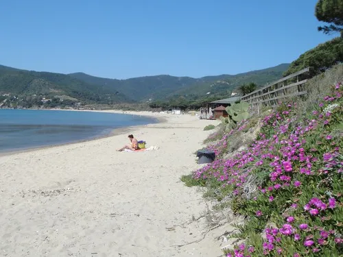 Camping Lacona Pineta 5