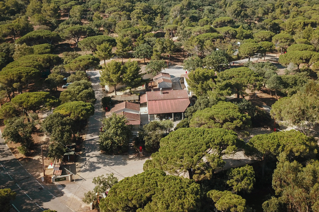Ladouceur Campsite