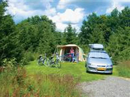 Camping Landgoed Tolhek 3