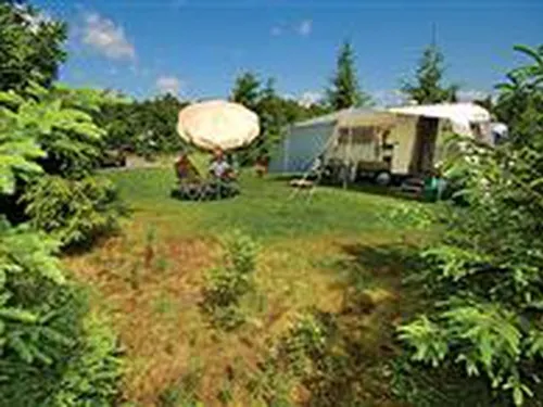 Camping Landgoed Tolhek 5