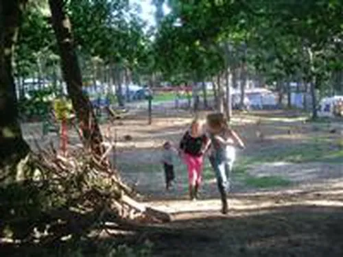 Camping Langeloërduinen 3