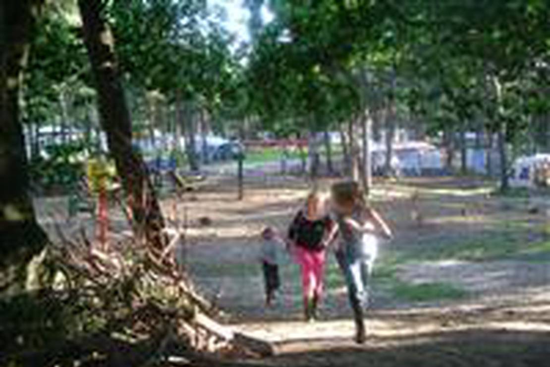 Camping Langeloërduinen 4