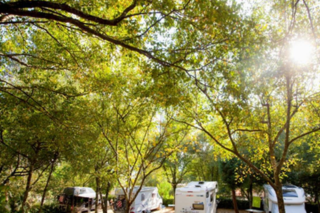 Camping las Cancelas 4