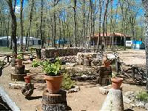 Camping las Cavenes 5