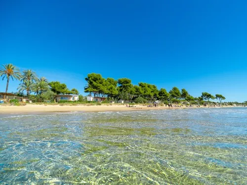 Camping las Palmeras 10